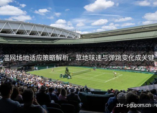 温网场地适应策略解析,草地球速与弹跳变化成关键 温网场地适应策略解析,草地球速与弹跳变化成关键